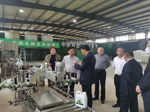 让农作物喝中药 重庆造中药肥料有望走出国门